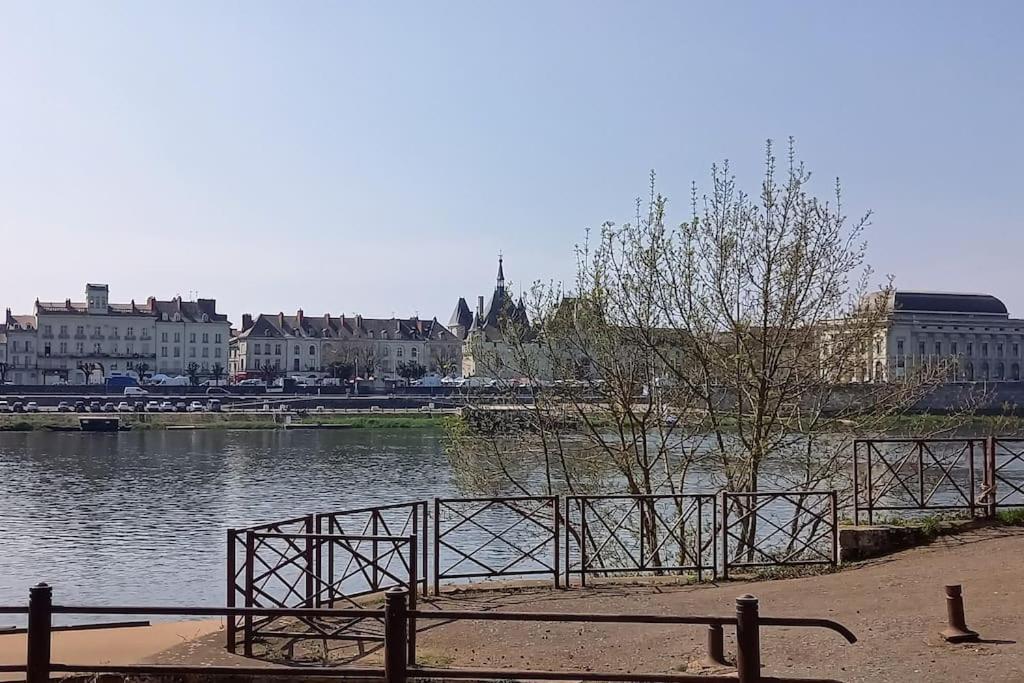 Les Marronniers Appartement Centre Saumur Bord De Loire Exteriör bild